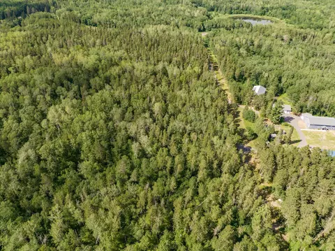 L4 B1 Tbd Pine Terrace Road, Ideal Twp, MN 56442