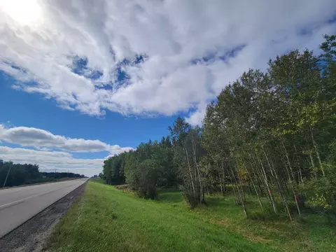 Nnn Parcel C State Highway 371, Backus, MN 56435