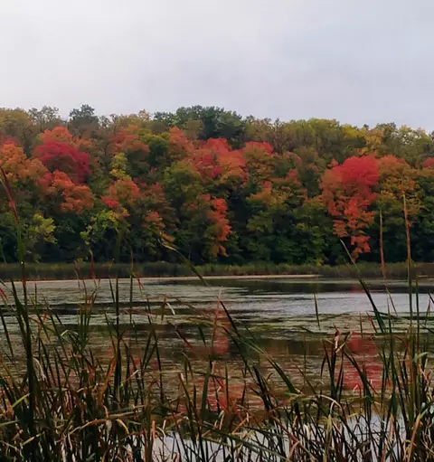 Nnn Maple Island Drive Se, Glenwood, MN 56334