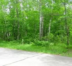 lot7 Block 1 Bonnie Lakes Rd, Crosslake, MN 56442