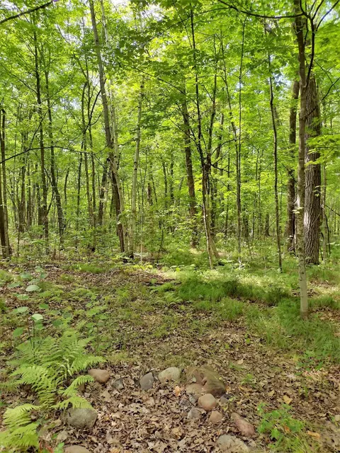 Nnnnn Dunn Avenue, South Harbor Twp, MN 56359