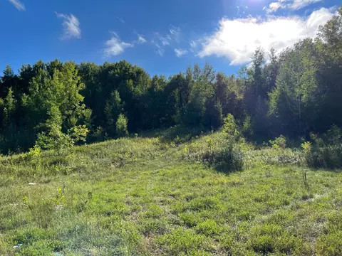 tbd Tower Rd, Garrison, MN 56450 photo 8