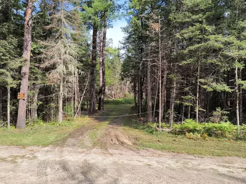 24 84acre Bessette Rd, Orr, MN 55771