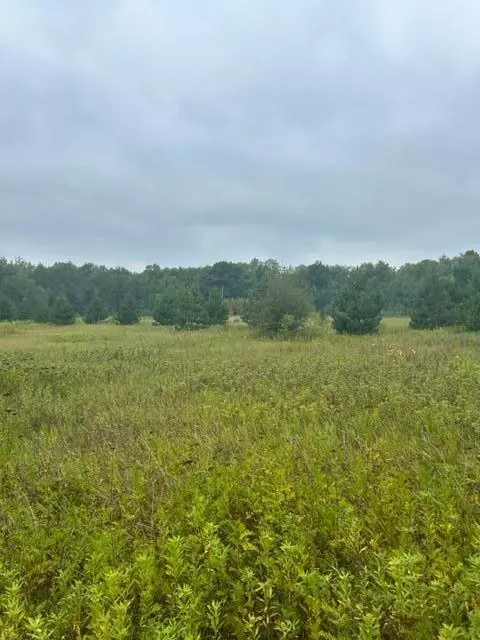 Nnn Lost Lake Trail, Cushing, MN 56443