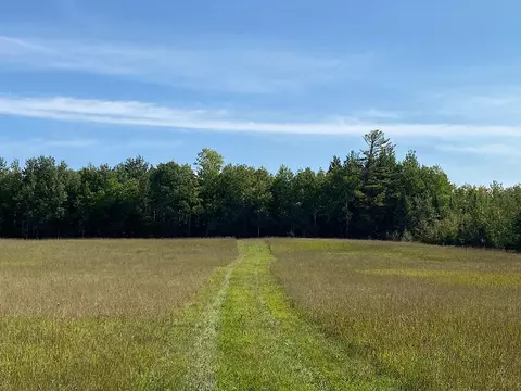 1901 Sheils Rd, Twin Lakes Twp, MN 55718