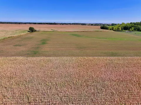 Nnnn County 1, Spring Valley, MN 55975 photo 8