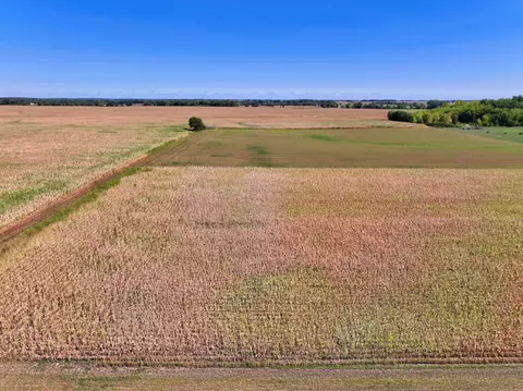Nnnn County 1, Spring Valley, MN 55975 photo 5
