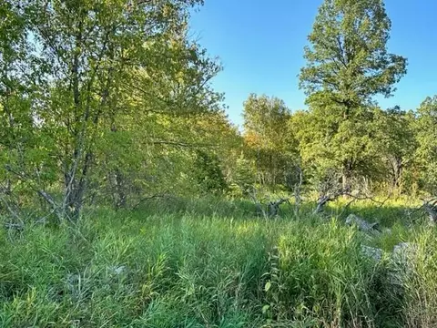 43438 County 3, Becida, MN 56678 photo 21