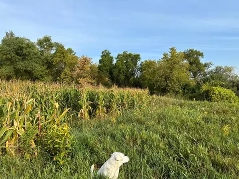 tbd Chickadee Dr, Grey Eagle Twp, MN 56336 photo 16