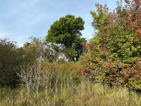 tbd Chickadee Dr, Grey Eagle Twp, MN 56336 photo 12