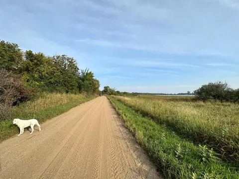 tbd Chickadee Dr, Grey Eagle Twp, MN 56336 photo 15
