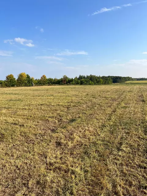 Nnnn Little Rock Road Ne, Foley, MN 56329