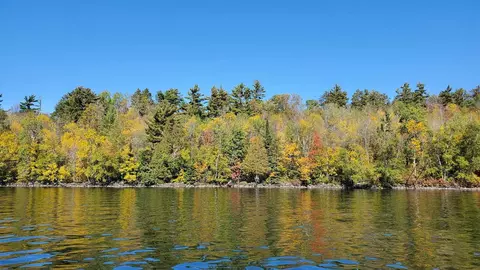 Tbd Pine Island, Greenwood Twp, MN 55792