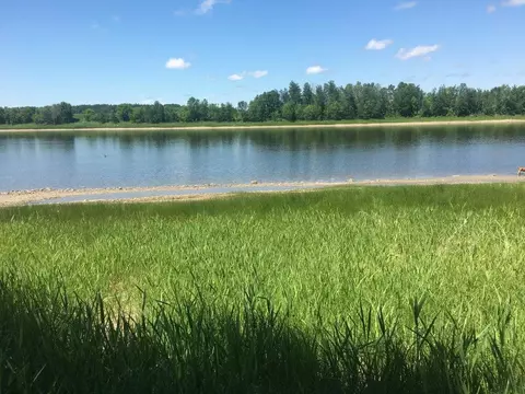 tbd Highway 11, International Falls, MN 56649
