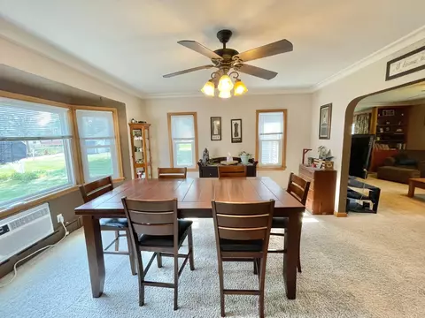 201 Ray Ave, Springfield, MN 56087 photo 14