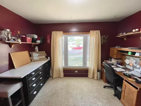 201 Ray Ave, Springfield, MN 56087 photo 38