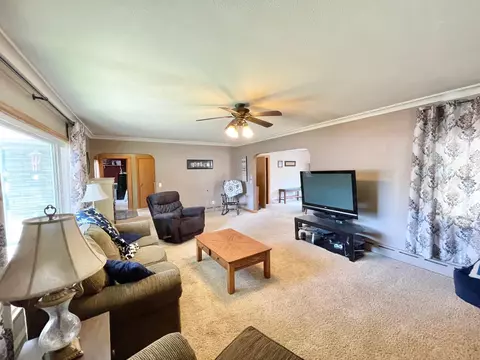201 Ray Ave, Springfield, MN 56087 photo 11