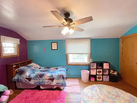 201 Ray Ave, Springfield, MN 56087 photo 61