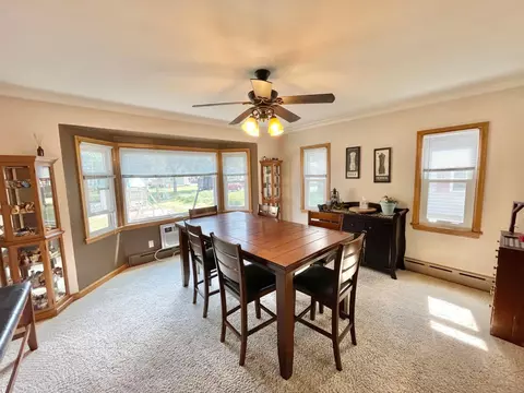201 Ray Ave, Springfield, MN 56087 photo 13