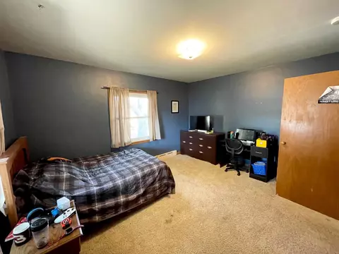 201 Ray Ave, Springfield, MN 56087 photo 36