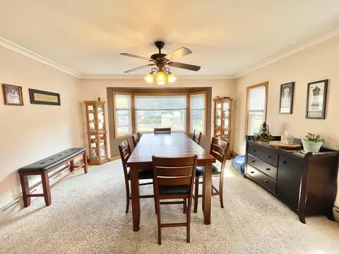 201 Ray Ave, Springfield, MN 56087 photo 12