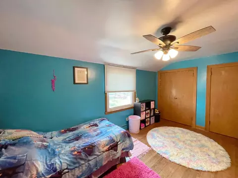 201 Ray Ave, Springfield, MN 56087 photo 57