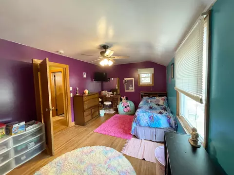 201 Ray Ave, Springfield, MN 56087 photo 59