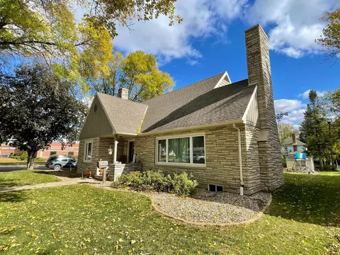201 Ray Ave, Springfield, MN 56087 photo 63