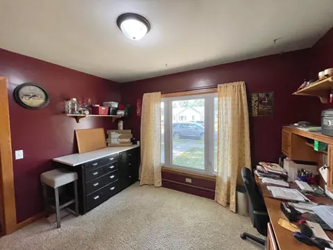 201 Ray Ave, Springfield, MN 56087 photo 39