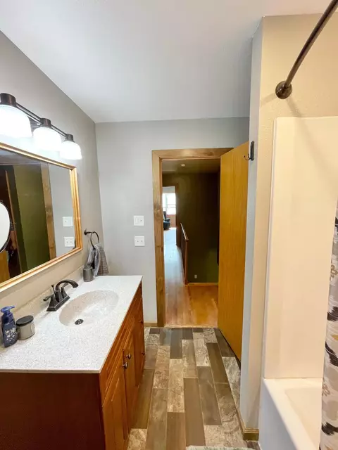 201 Ray Ave, Springfield, MN 56087 photo 48