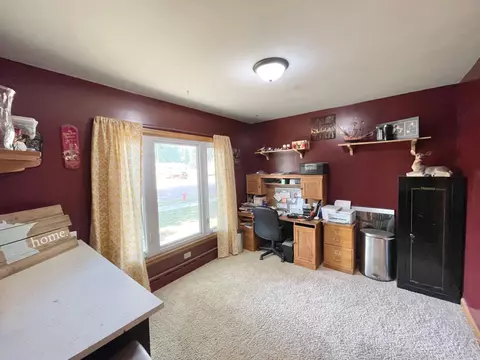 201 Ray Ave, Springfield, MN 56087 photo 37