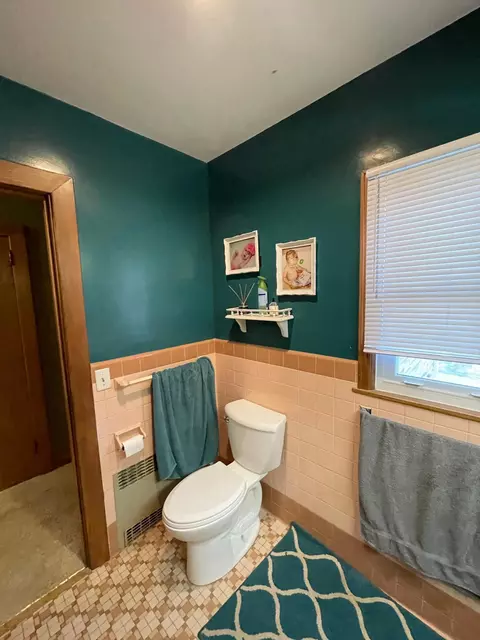 201 Ray Ave, Springfield, MN 56087 photo 33