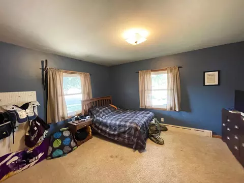 201 Ray Ave, Springfield, MN 56087 photo 34
