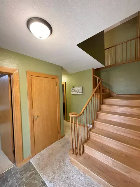 201 Ray Ave, Springfield, MN 56087 photo 41
