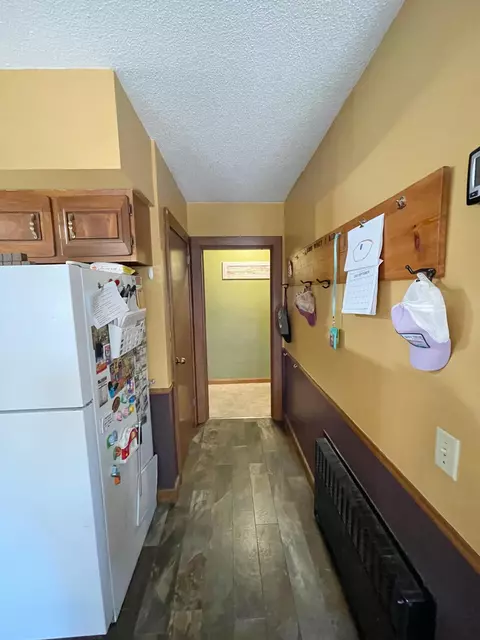 201 Ray Ave, Springfield, MN 56087 photo 29