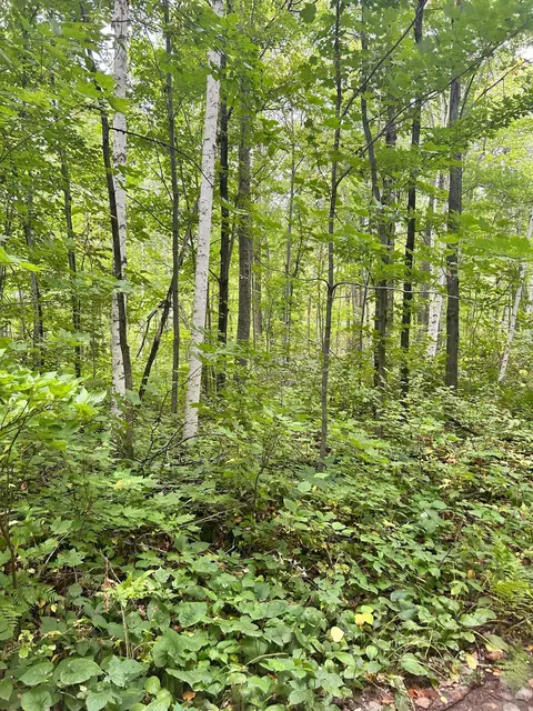 Nnn Pebble Pass, Cushing, MN 56443