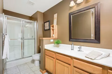 Bath - 2019 Schoolmaster Dr, Chaska, MN 55318 photo 6 of 6