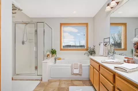 Bath - 2019 Schoolmaster Dr, Chaska, MN 55318 photo 3 of 6