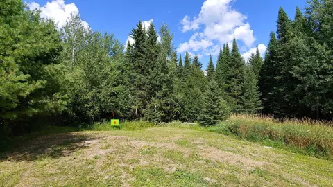 10407 Ash River Trl, Orr, MN 55771