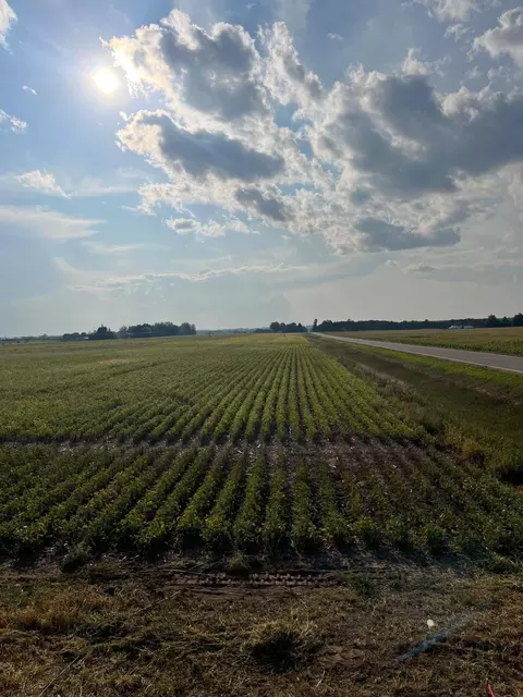 Nnnn Little Rock Road Ne, Foley, MN 56329