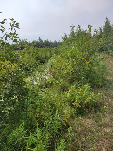 24732 State Hwy 18, Mcgrath, MN 56350