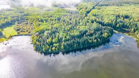 49243 County Road 554, Nashwauk, MN 55769