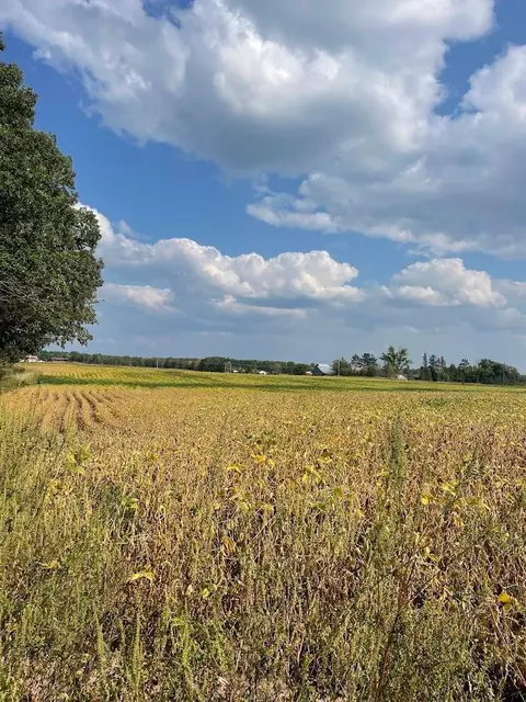 Nnnnn Rice Road, Hinckley, MN 55037