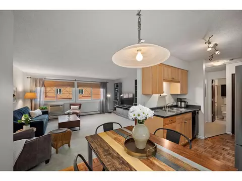 2630 Pleasant Ave #203, Minneapolis, MN 55408