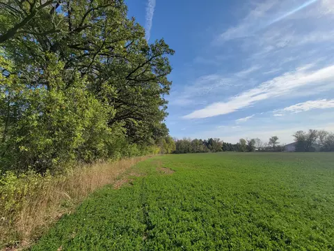 502 E County Rd N, Le Roy, MN 55951 photo 40