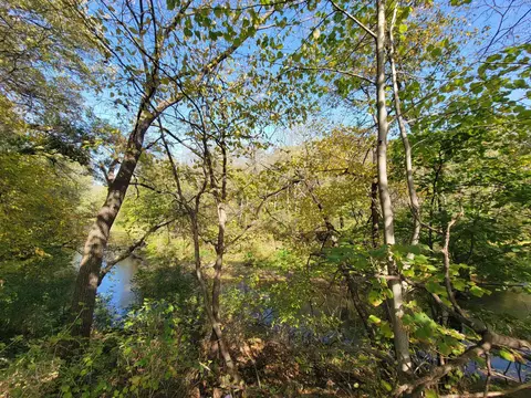 502 E County Rd N, Le Roy, MN 55951 photo 46