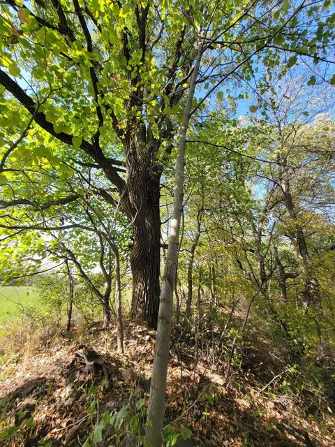 502 E County Rd N, Le Roy, MN 55951 photo 43