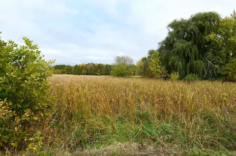16950 Elmore Trl, Faribault, MN 55021 photo 35