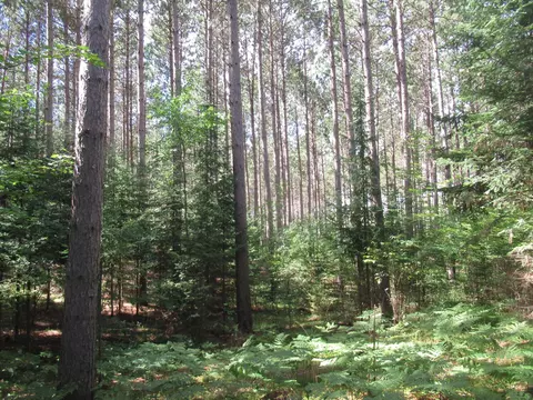 00000 Sutherland Rd, Mason, WI 54856