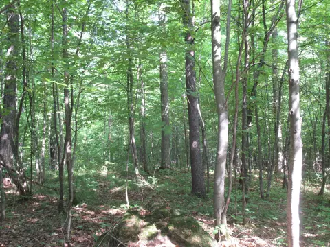 0000 Ole Lake Rd, Cable, WI 54821 photo 9
